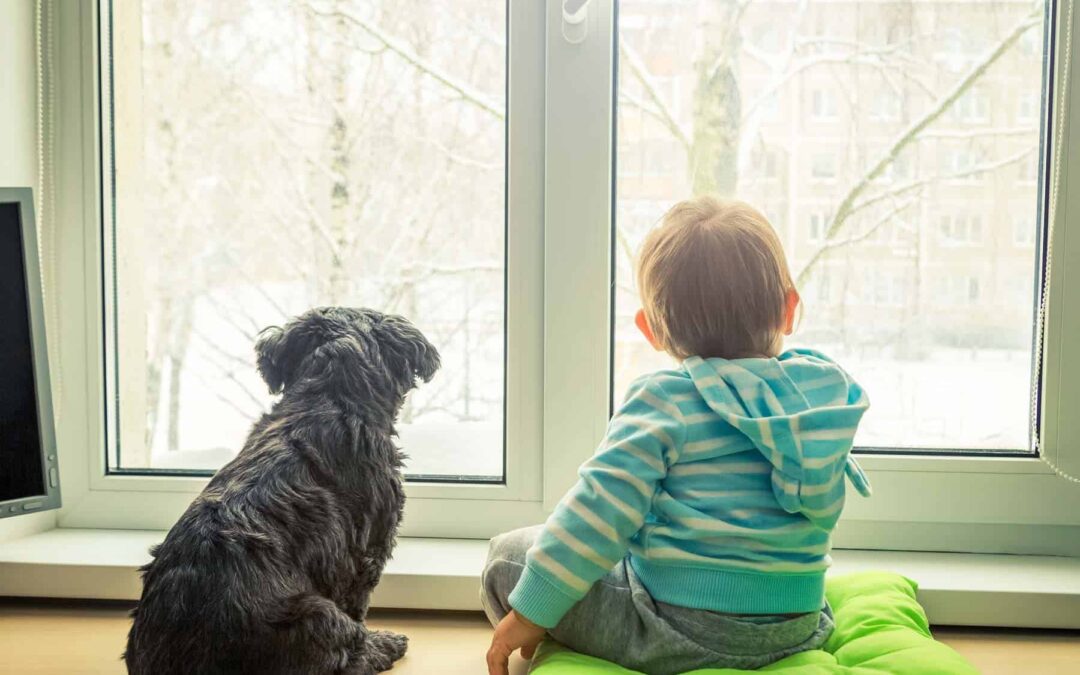 Whole house air purifier installation relies on your HVAC system