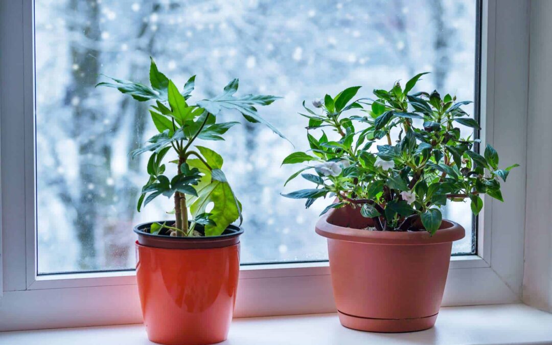 Discover the comfort of a whole home humidifier this winter