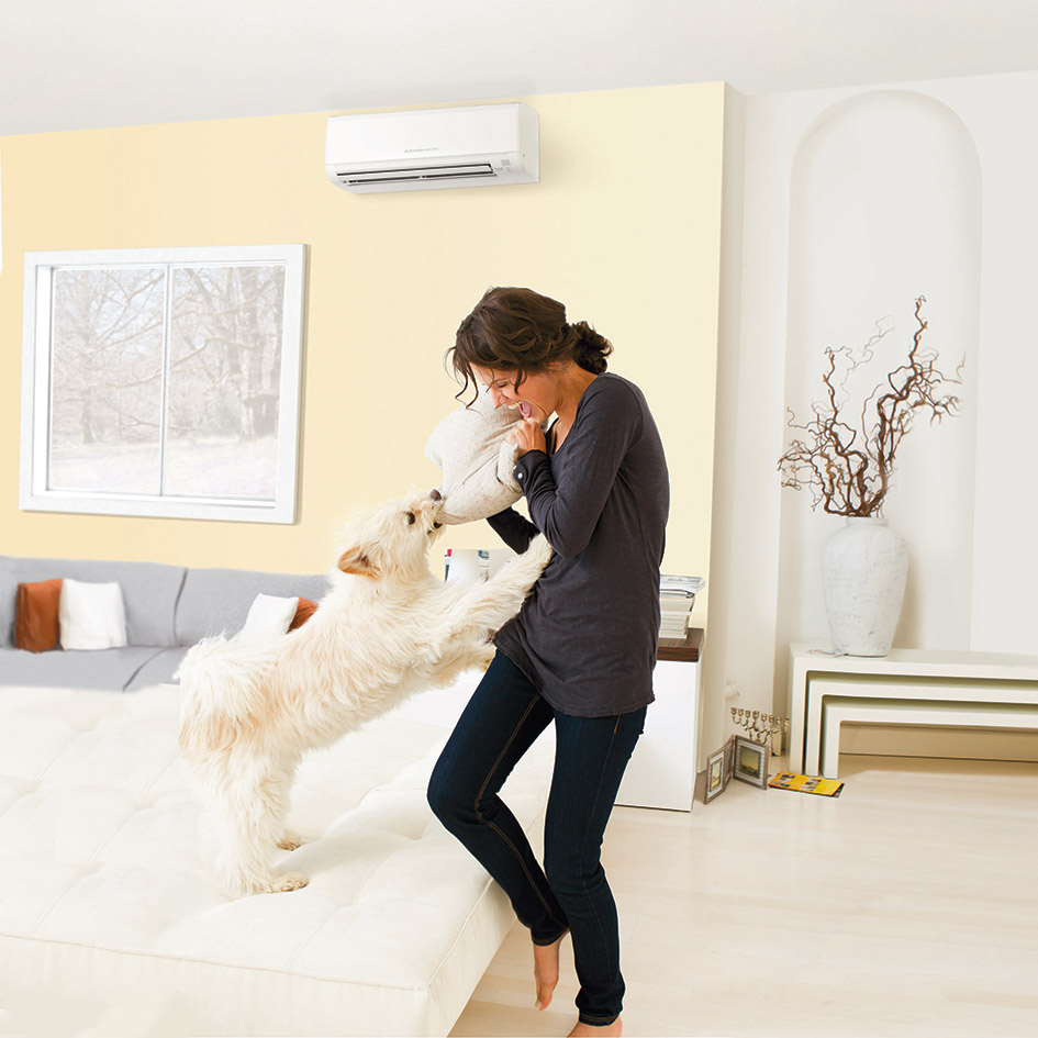 Woman playing with dog in living room